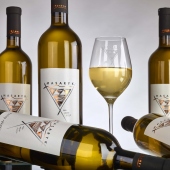 VÍNO - MASARYK s.r.o.: -biele vína s novým designom etikiet